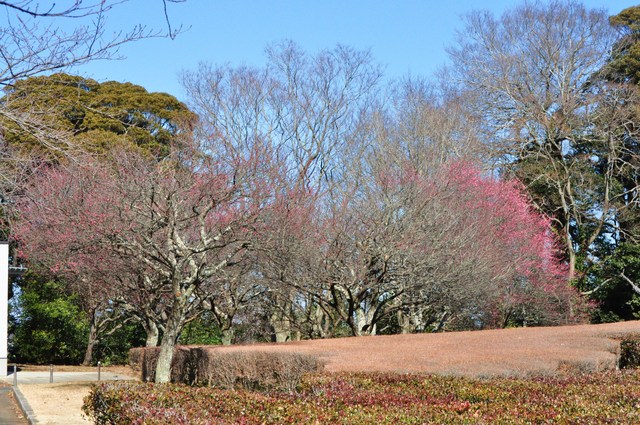 0b489dc8.jpg
