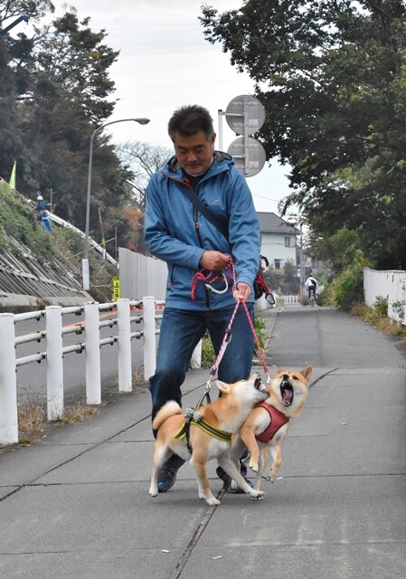 DSC_8770 (2)