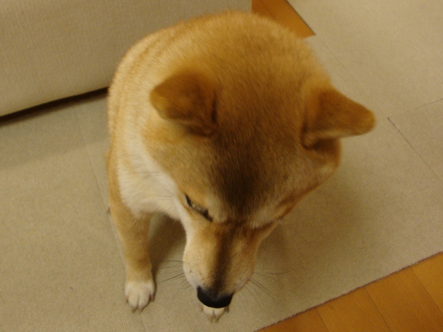 0c406962.jpg