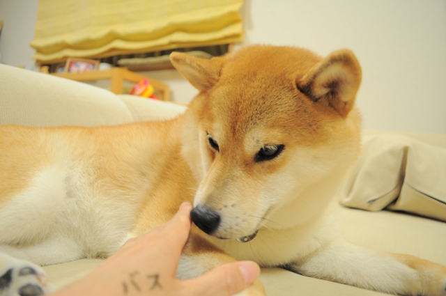 0c703284.jpg