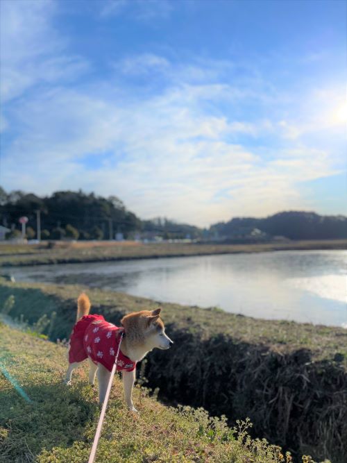 ファイル_000 (1)xx