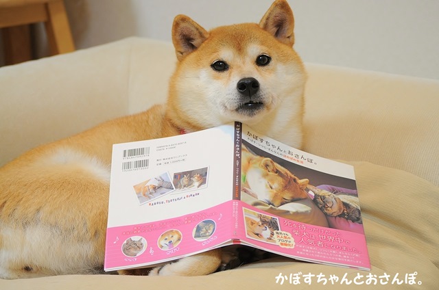 0f5c0d80.jpg