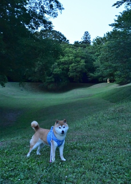 DSC_6334 (2).jpgxx
