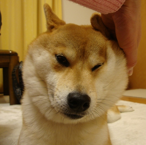 13d26d7d.jpg