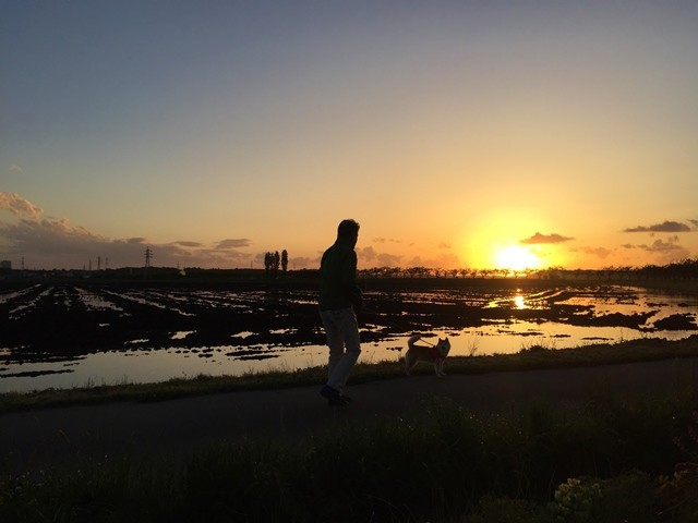 image_original.jpgxx