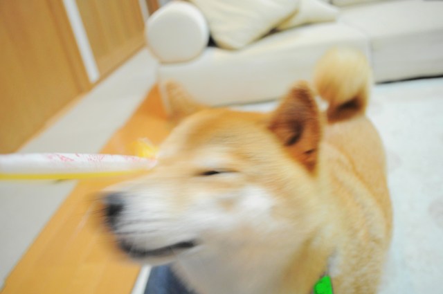 15f667f5.jpg