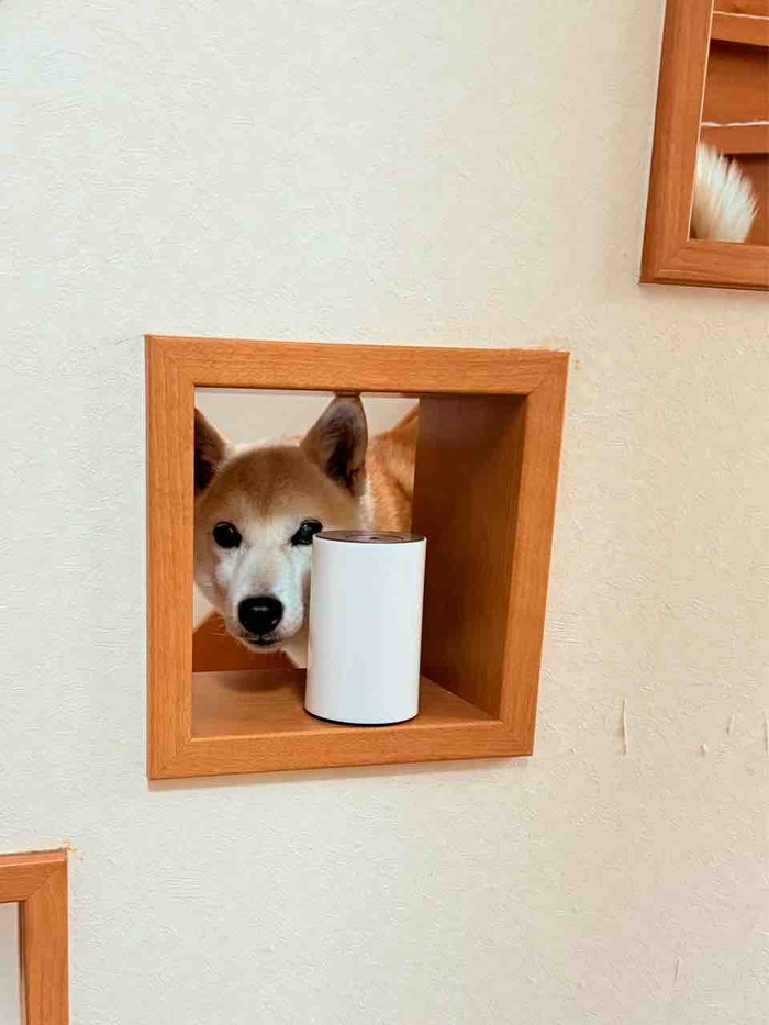 FullSizeRender