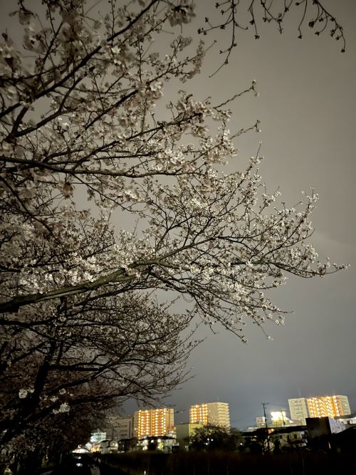 ファイル_003