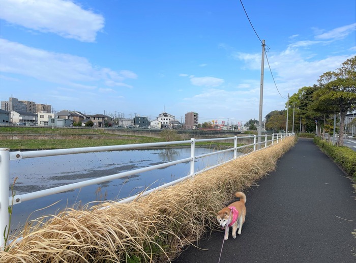 ファイル_002 (1)