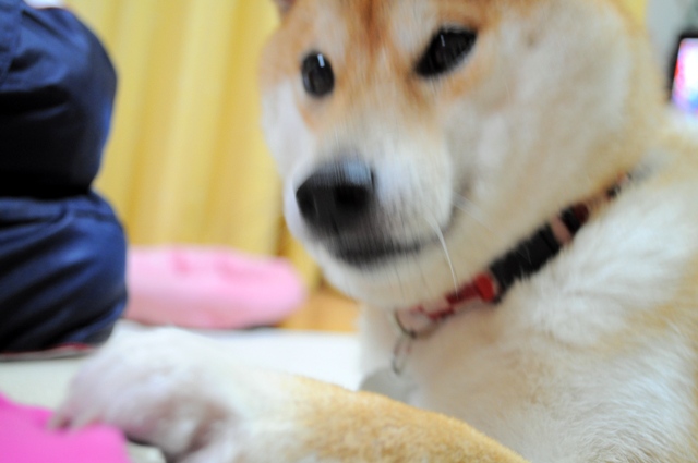 1c3affa5.jpg