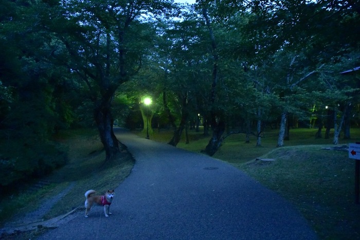 DSC_5799 (2).jpgxx