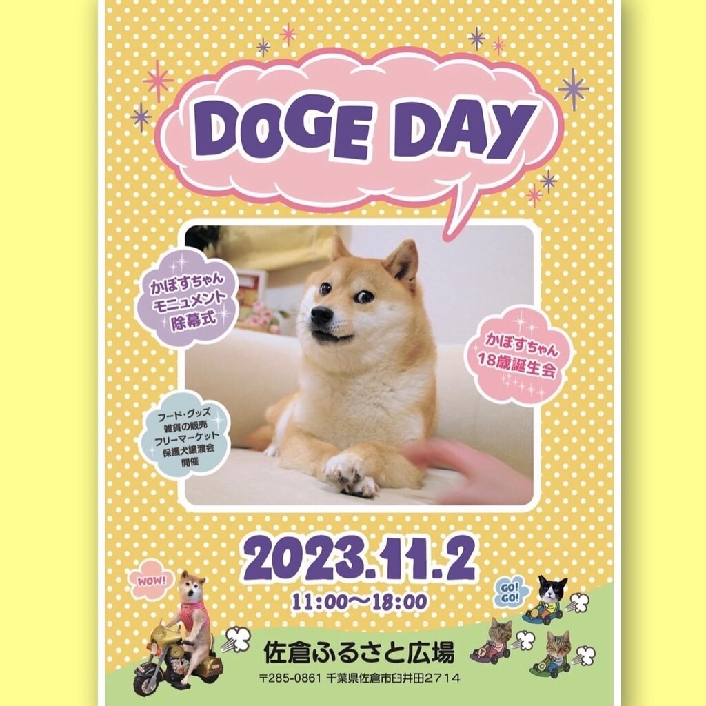 Doge Day2024 開催のお知らせです! : かぼすちゃんとおさんぽ Doge Day2024 開催のお知らせです! : かぼすちゃんとおさんぽ