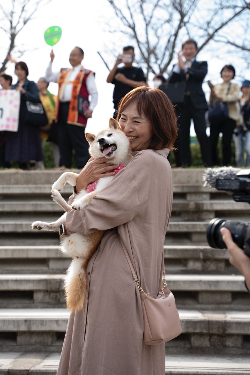 Doge Day2024 開催のお知らせです! : かぼすちゃんとおさんぽ Doge Day2024 開催のお知らせです! : かぼすちゃんとおさんぽ