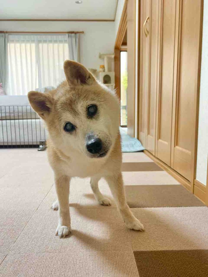 FullSizeRender