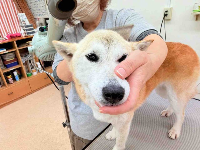 FullSizeRender