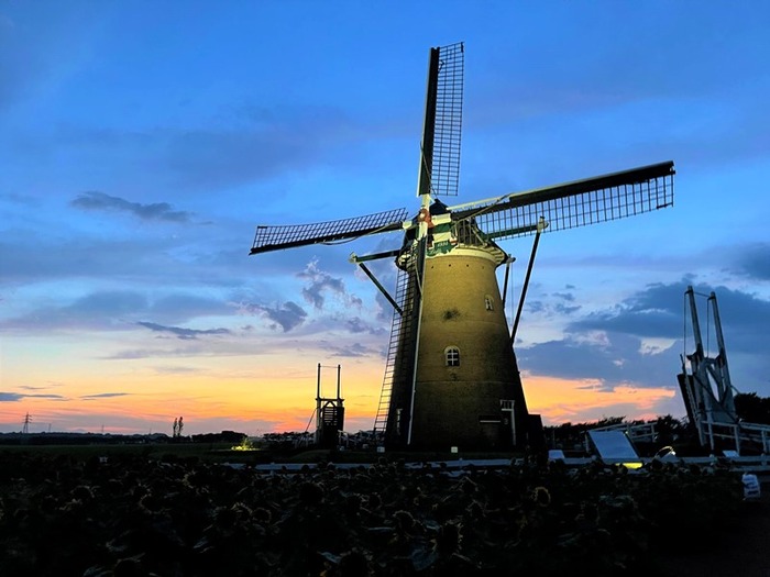 IMG_8794