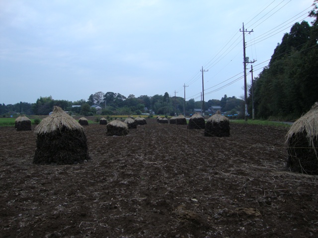 2af524a8.jpg