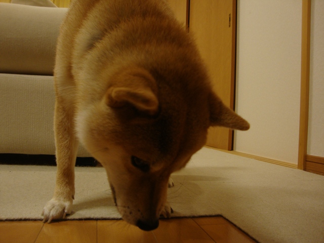 2b02eb66.jpg