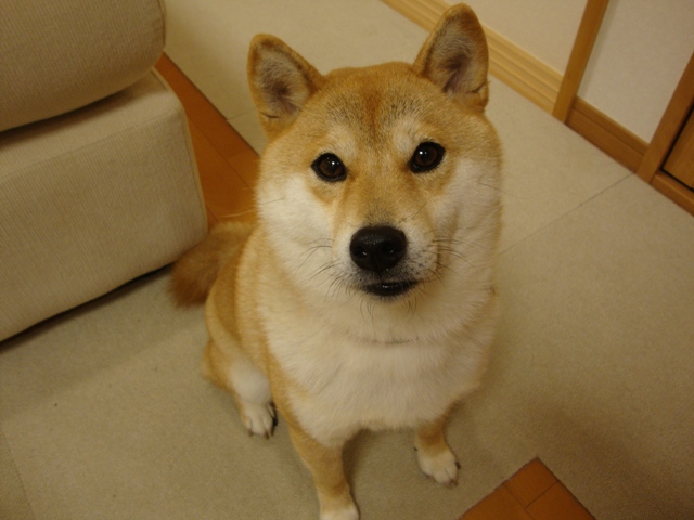 2b665b98.jpg