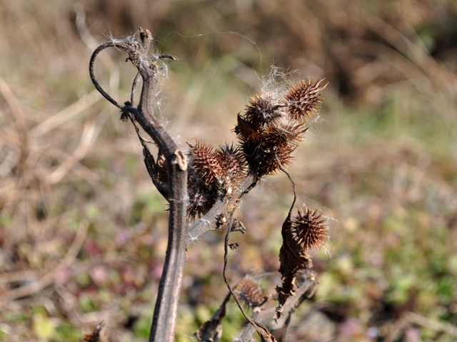 2cd215e6.jpg