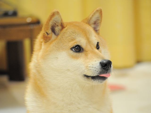 31deb4f1.jpg