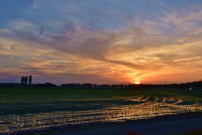 DSC_1958 (2)