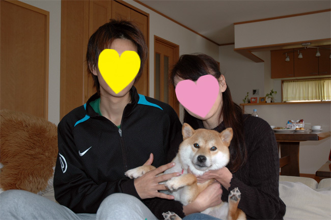 336867c0.jpg