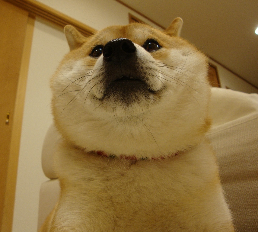 33c2554f.jpg