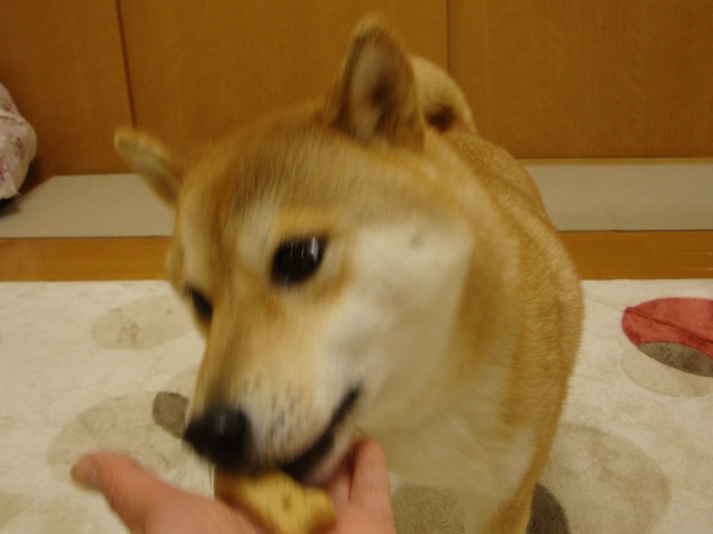 346031ed.jpg