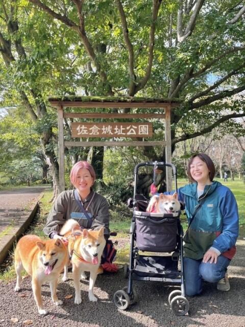 kabosu17_2005
