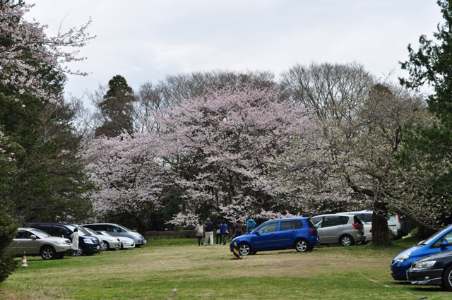 3553eae7.jpg