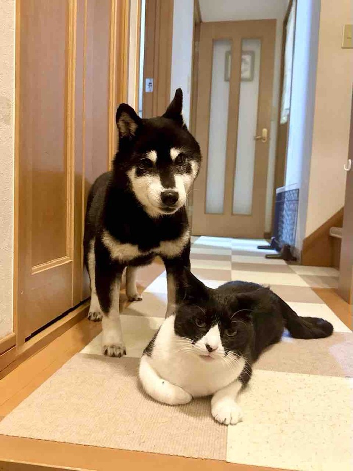 FullSizeRender