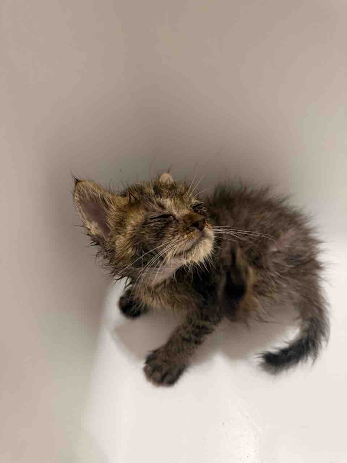 IMG_2756