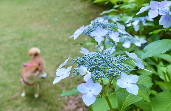 DSC_7574 (2).jpgxx