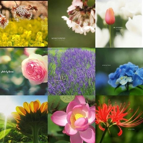 image_original (10)