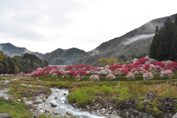 DSC_8185 (2)