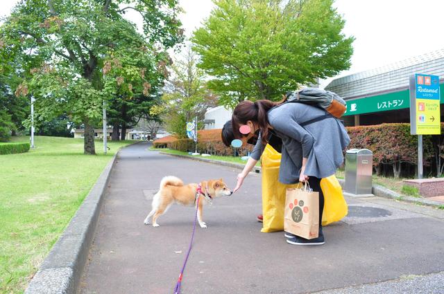 感動のプレゼント かぼすちゃんとおさんぽ Powered By ライブドアブログ 感動のプレゼント かぼすちゃんとおさんぽ Powered By ライブドアブログ