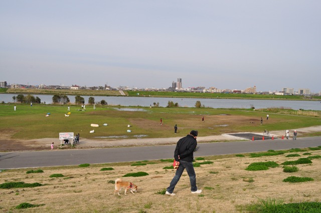 3da24460.jpg