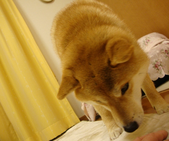 3f10ef60.jpg
