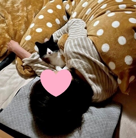 ファイル_001