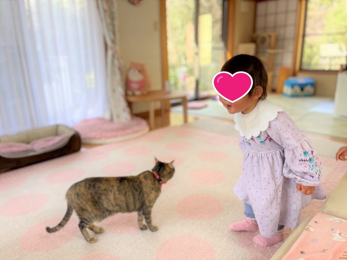 ファイル_000 (1)xxx