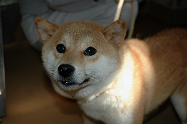 43743d48.jpg