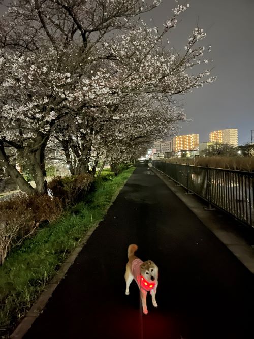 ファイル_002