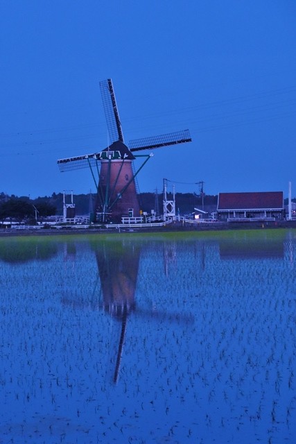 DSC_9882 (2)