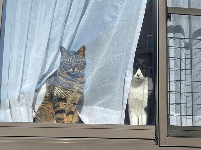 ファイル_003