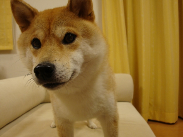 45d787d6.jpg