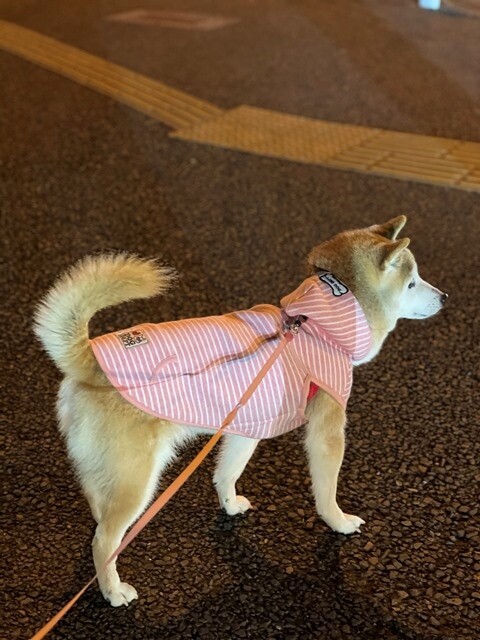ファイル_002