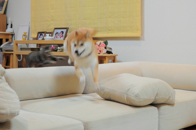 4a7a7af2.jpg