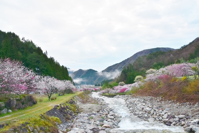 DSC_8121 (2)