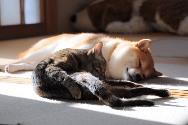 4b8611a9.jpg